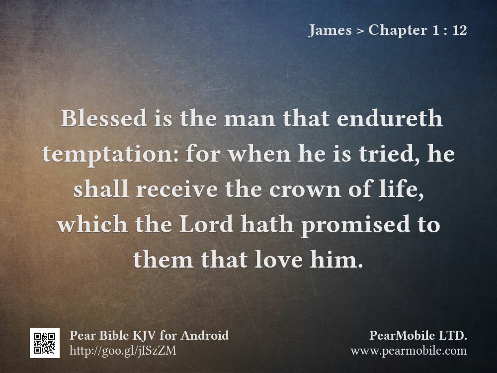 James, Chapter 1:12